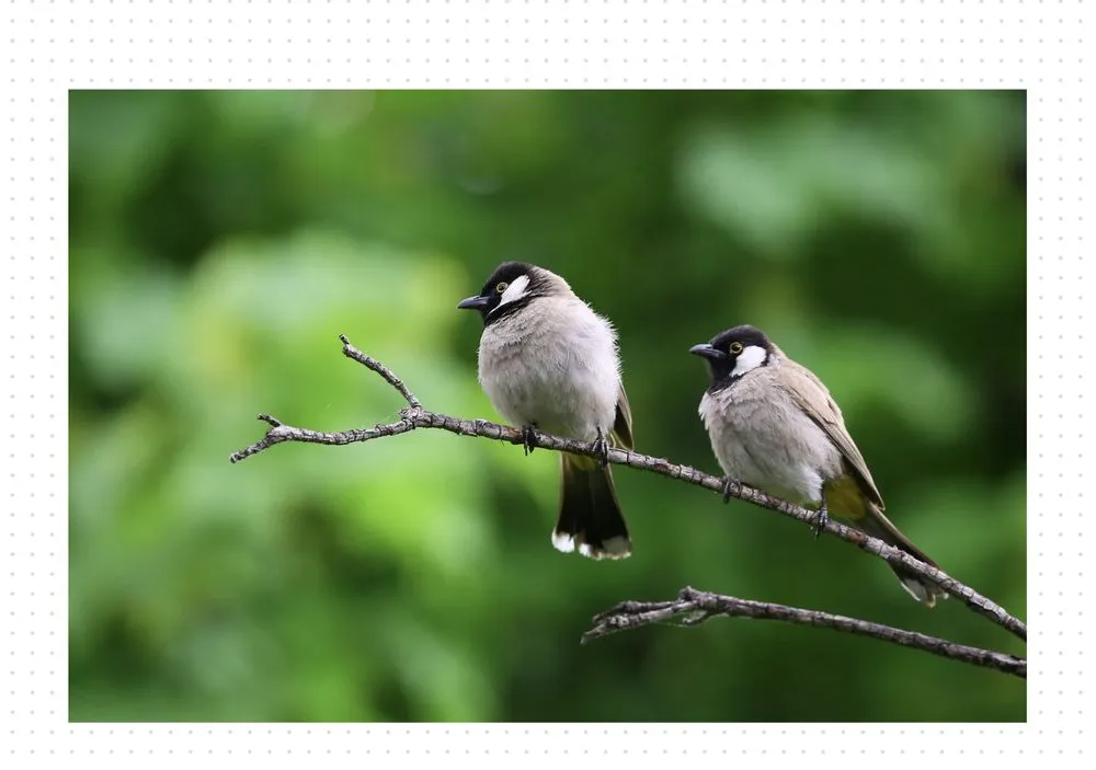 Expert garden landscaping in Portland, TX - Lawn Care by Chris