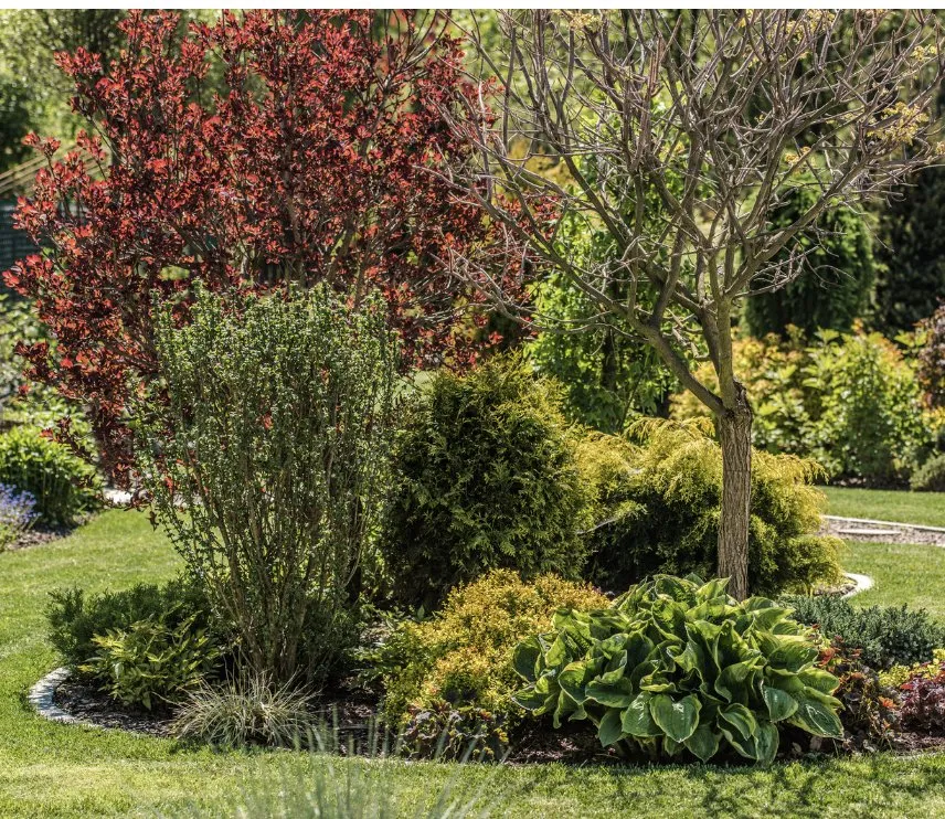 Trusted landscape design experts serving Portland, TX - Lawn Care by Chris