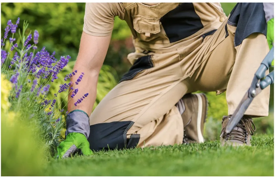 Affordable lawn care service for residential properties across Portland, TX - Lawn Care by Chris