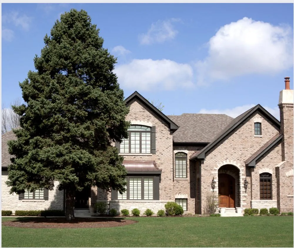 Top-rated yard cleanup service with custom design in Portland, TX by Lawn Care by Chris