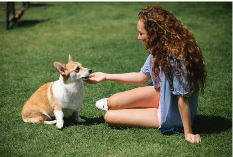 Reliable landscape installation for homes in Portland, TX by Lawn Care by Chris