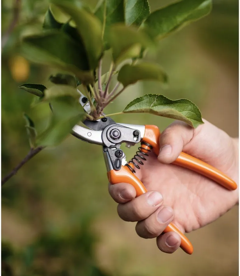 Local landscape installation in Portland, TX by Lawn Care by Chris