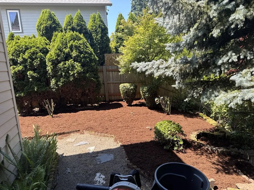 Reliable yard cleanup service near you across Vancouver, WA - Lawn Care By Dan