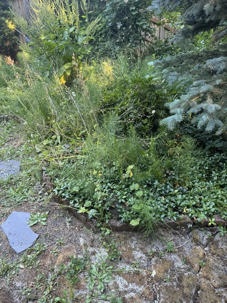 Professional residential landscaping in Vancouver, WA - Lawn Care By Dan