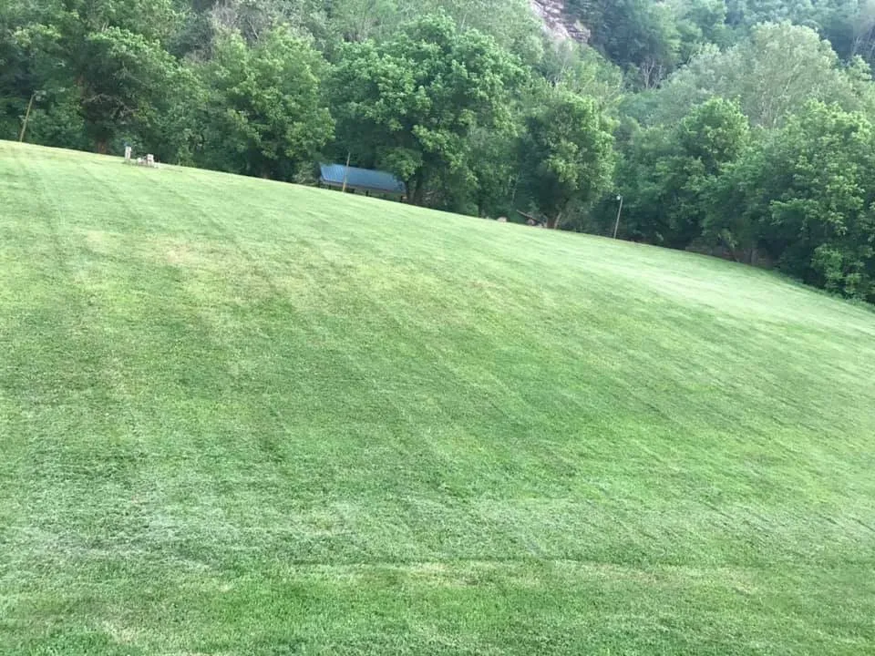 Expert lawn mowing service experts serving Duffield, VA - Lawn Care by Elliott