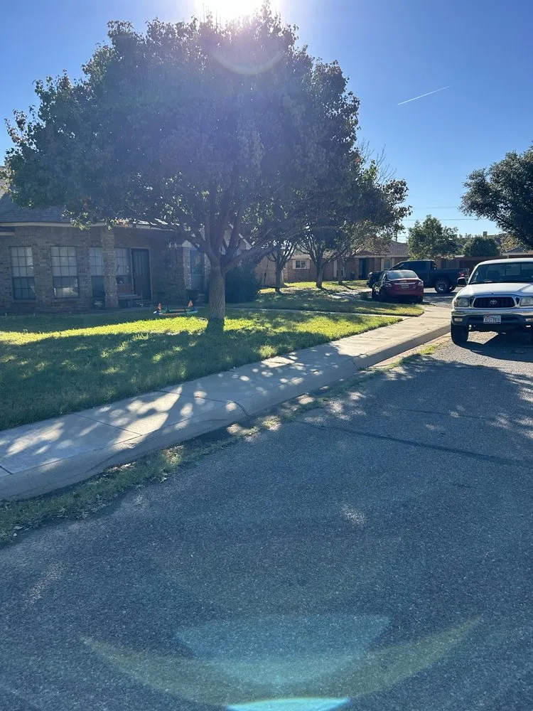 Local yard cleanup service in Midland, TX - Lawn Care By Jonny