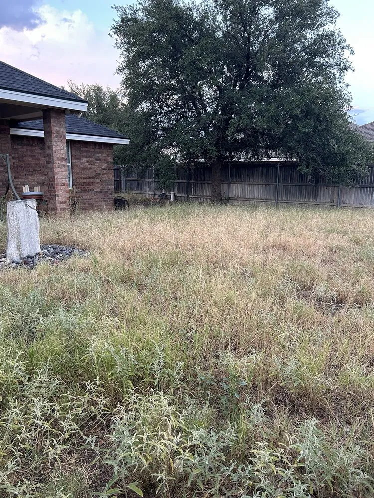 Custom residential landscaping experts serving Midland, TX - Lawn Care By Jonny