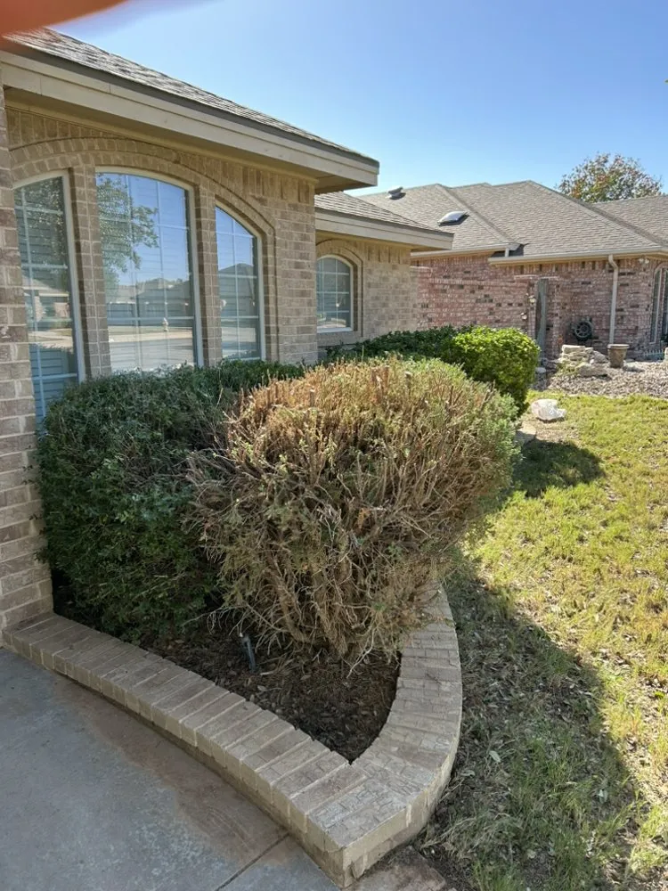 Reliable landscape installation for residential properties across Midland, TX - Lawn Care By Jonny