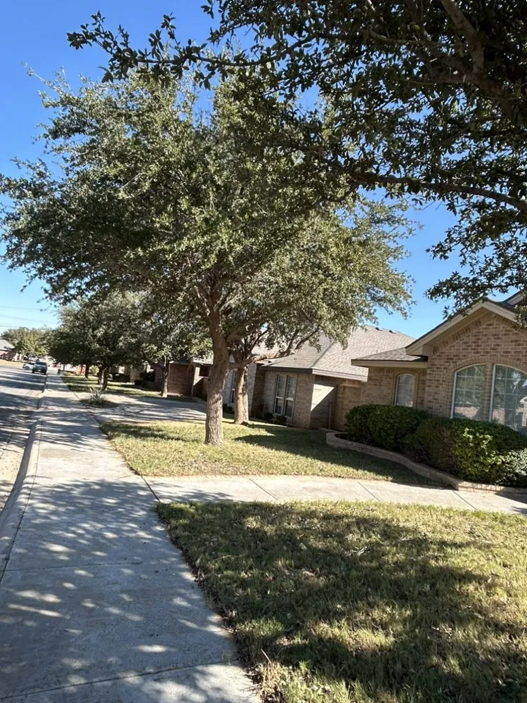 Expert landscaping services near you across Midland, TX - Lawn Care By Jonny