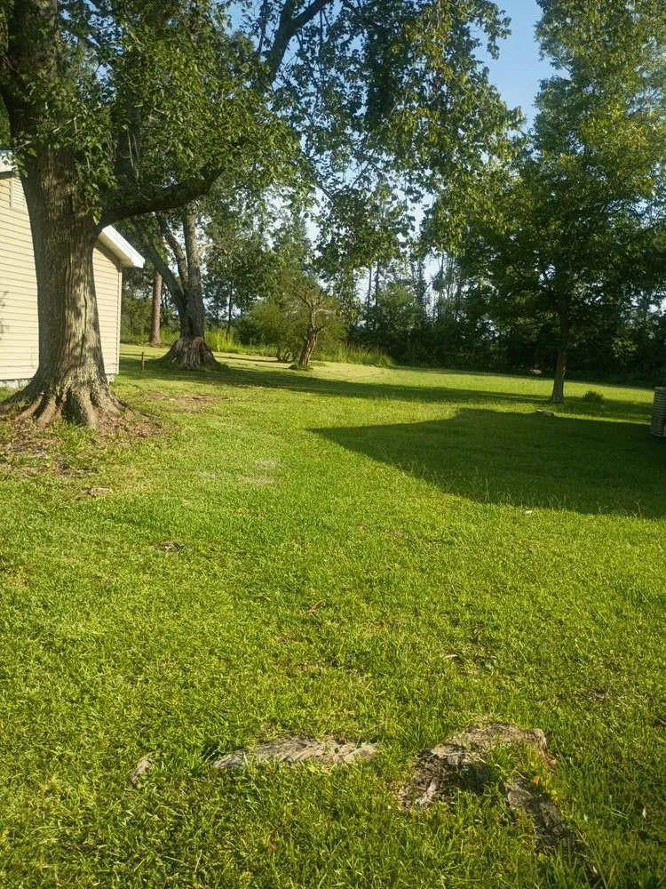 Professional yard cleanup service for residential properties across Waycross, GA - Lawn Care by Lawton