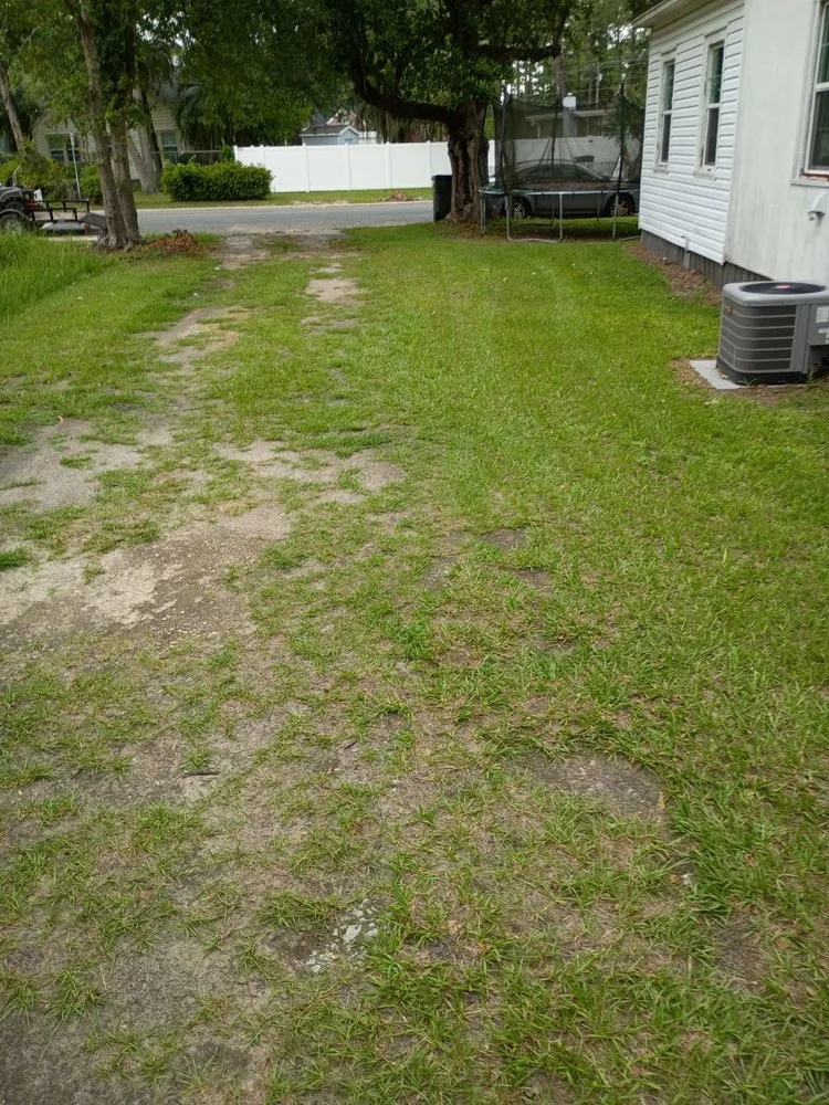 Expert landscape installation experts serving Waycross, GA - Lawn Care by Lawton