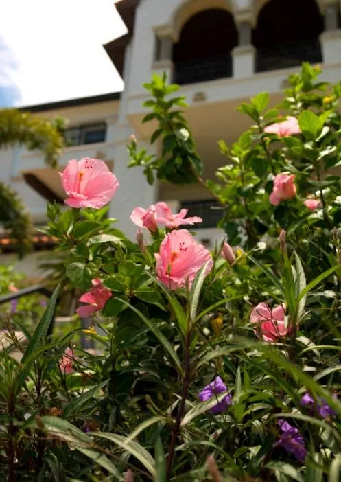 Expert landscaping services in Tampa, FL by Lawn Care By Roger