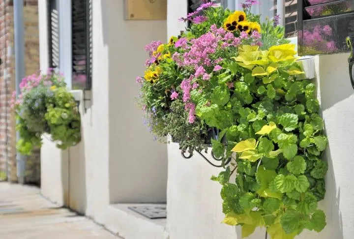 Top-rated residential landscaping in Tampa, FL - Lawn Care By Roger