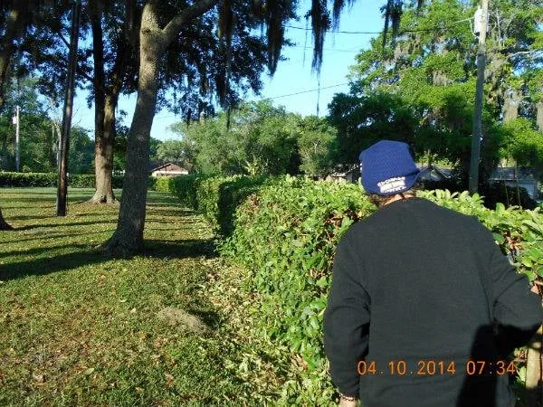 Expert residential landscaping for outdoor upgrades across Tampa, FL - Lawn Care By Roger