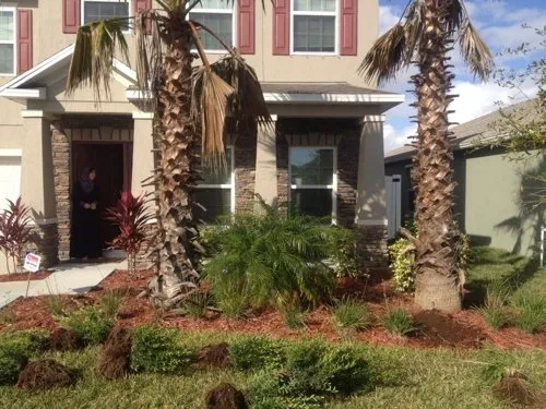 Top-rated garden landscaping in Cape Coral, FL by Lawn Care Cape Coral