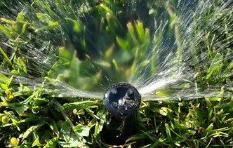 Top-rated landscape installation for outdoor upgrades in Cape Coral, FL by Lawn Care Cape Coral