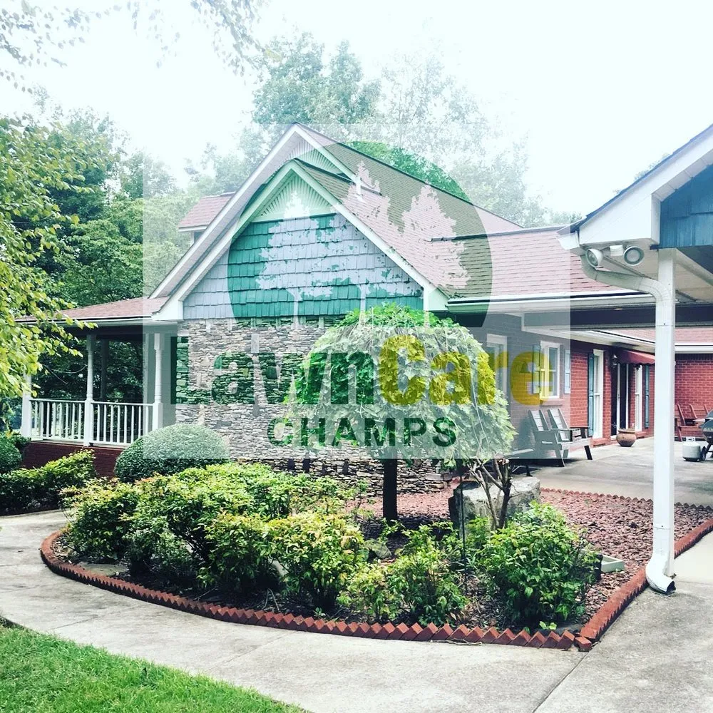 Expert lawn care service experts serving Blountsville, AL - Lawn Care Champs