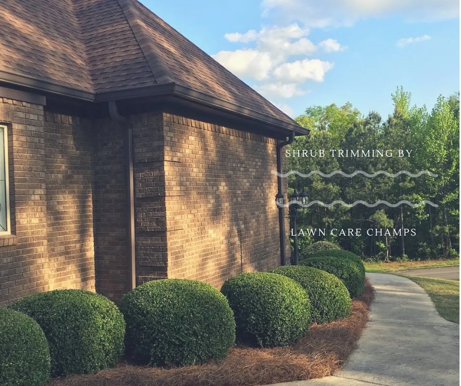 Trusted residential landscaping for homes across Blountsville, AL - Lawn Care Champs