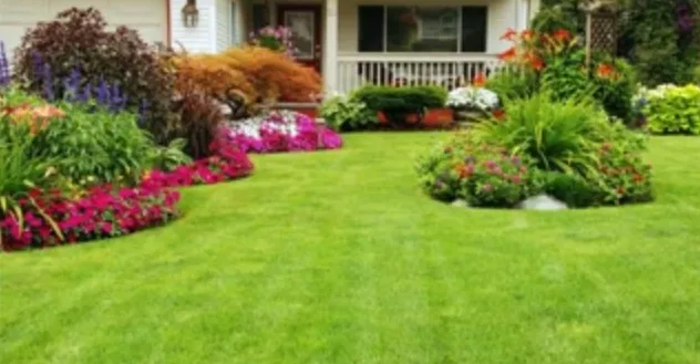 Professional yard cleanup service for year-round maintenance in Columbia, MO by Lawn Care Columbia MO