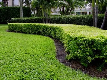 Reliable garden landscaping for beautiful yards in Pilot Mountain, NC by Lawn Care Creations