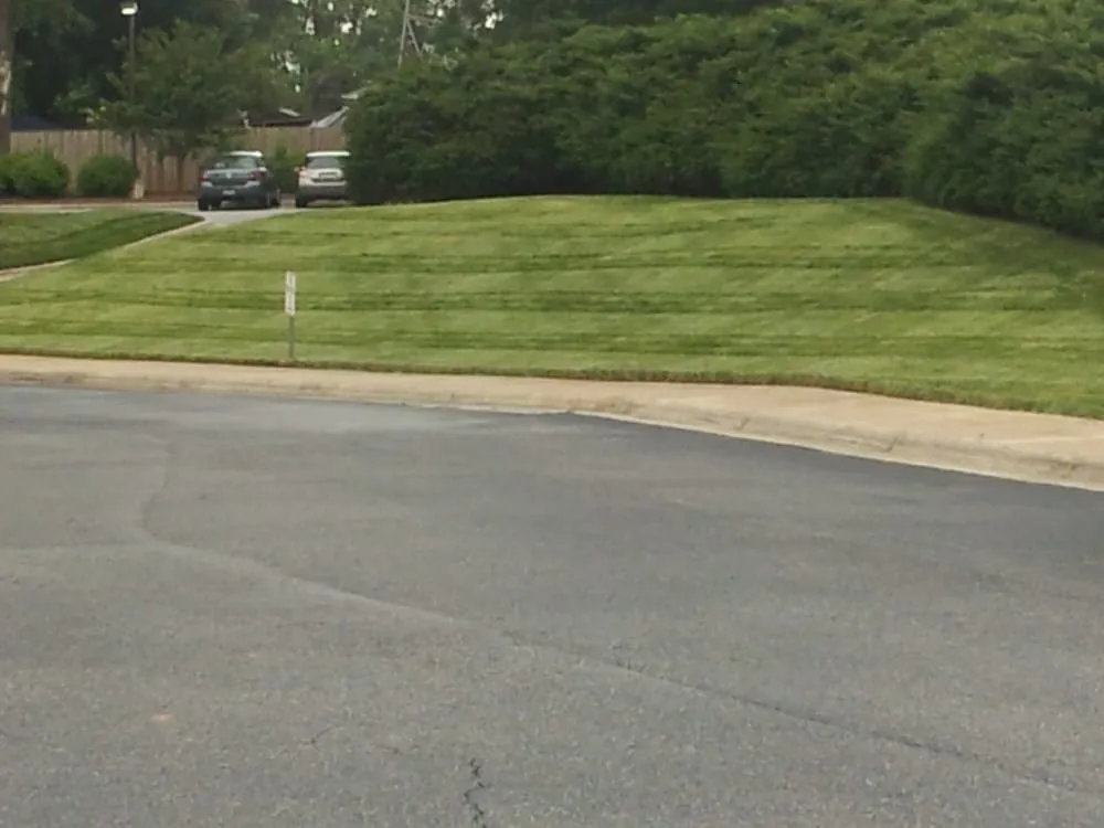 Affordable lawn mowing service experts serving Pilot Mountain, NC - Lawn Care Creations