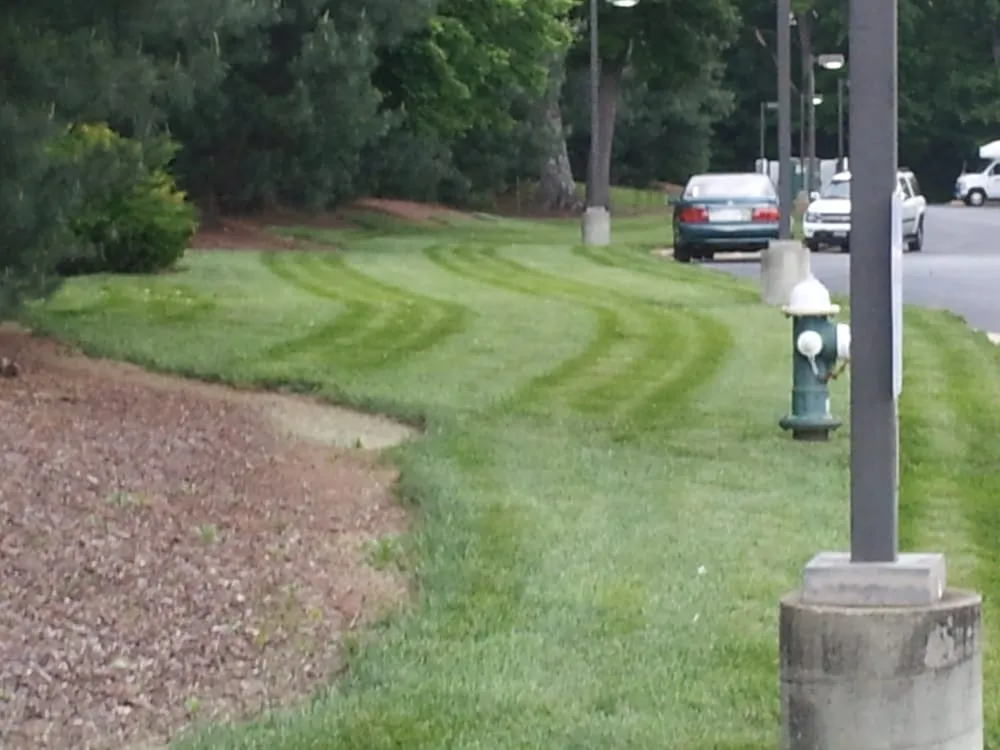 Reliable landscape installation experts serving Pilot Mountain, NC - Lawn Care Creations
