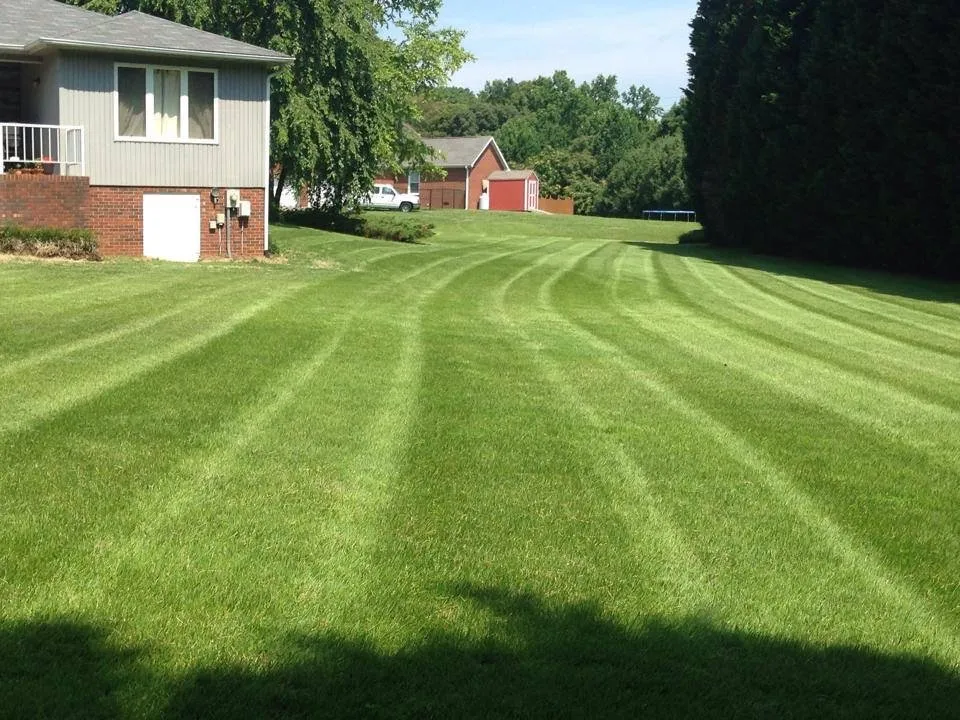 Local lawn care service for outdoor upgrades across Pilot Mountain, NC - Lawn Care Creations