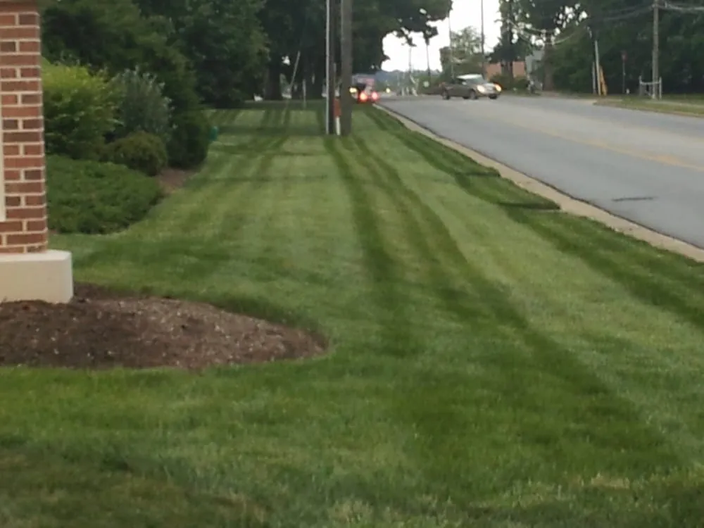 Professional garden landscaping in Pilot Mountain, NC - Lawn Care Creations