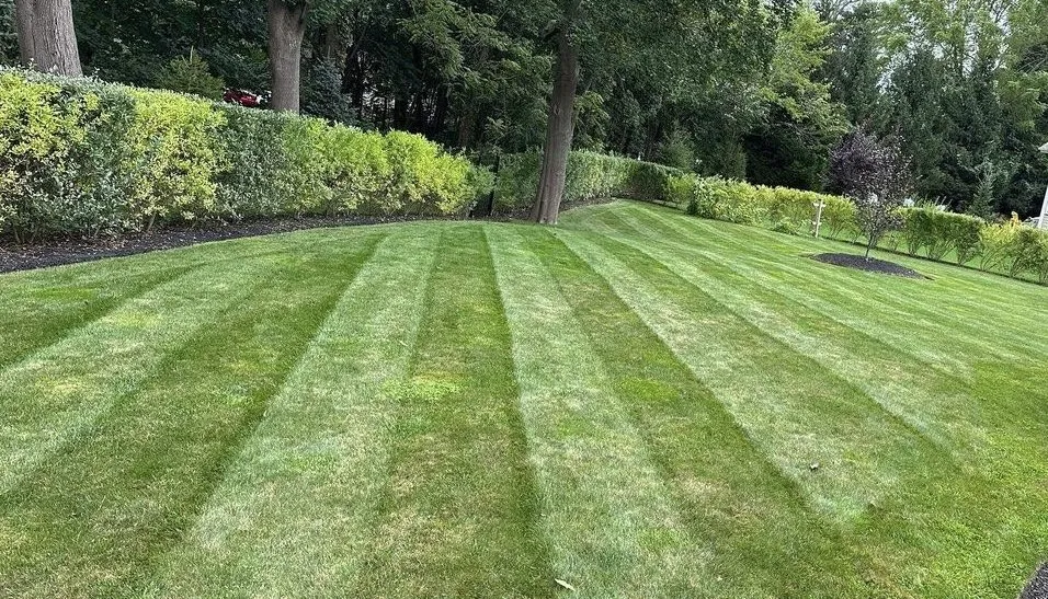 Local yard maintenance experts serving Andover, MA - Lawn Care Essentials
