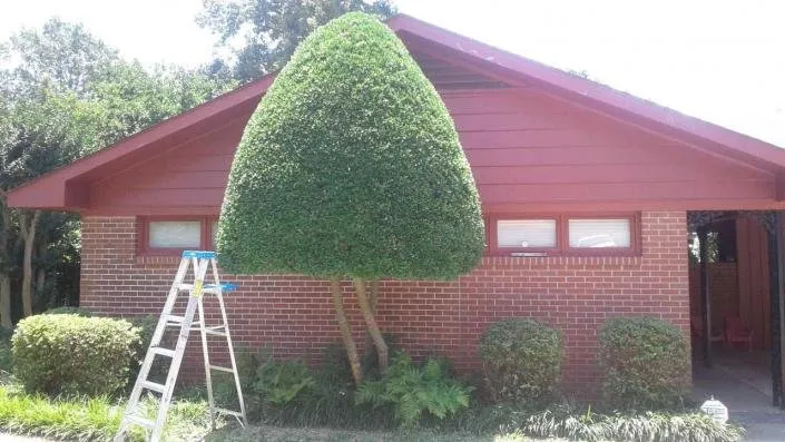 Professional lawn care service in Jonesboro, AR - Lawn Care Etc