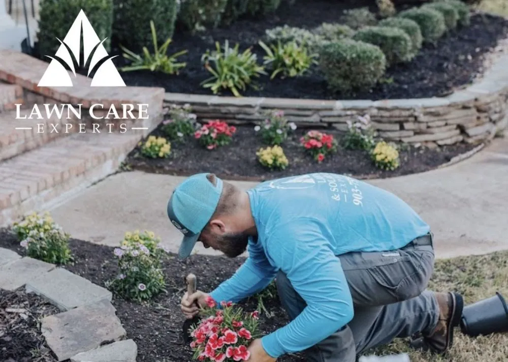 Affordable lawn care service in Shreveport, LA by Lawn Care Experts