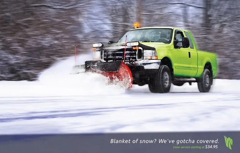 Professional garden landscaping for residential properties across Minneapolis, MN - Lawn Care Express