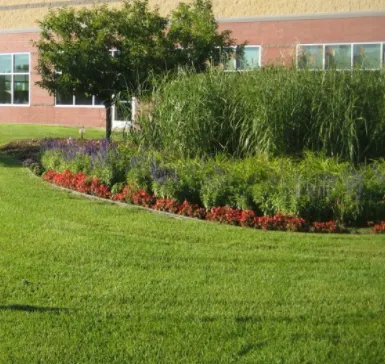 Expert yard maintenance in Minneapolis, MN - Lawn Care Express