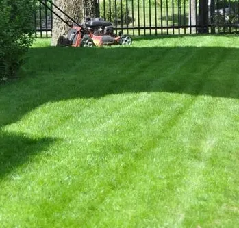 Local yard maintenance with custom design in Minneapolis, MN by Lawn Care Express