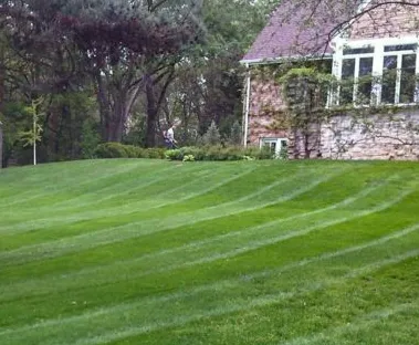 Reliable landscape design experts serving Minneapolis, MN - Lawn Care Express