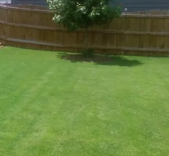 Trusted lawn mowing service in Minneapolis, MN by Lawn Care Express