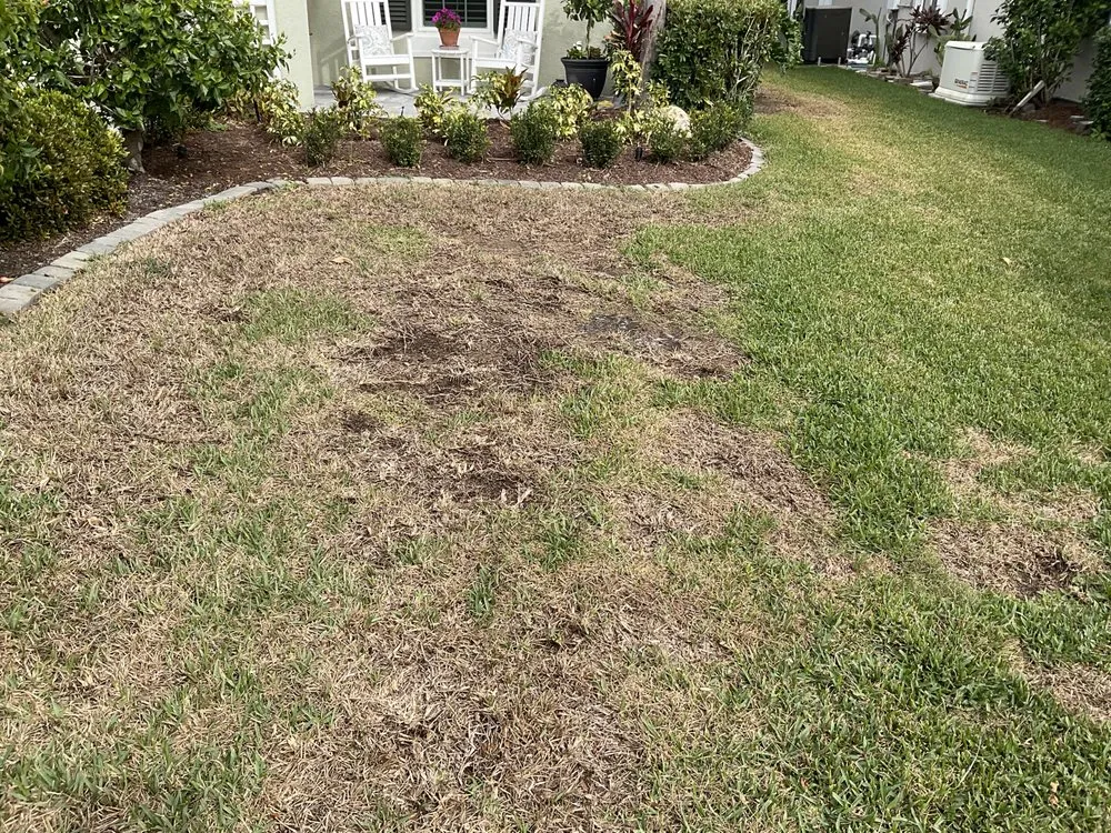 Custom landscaping services experts serving Venice, FL - Lawn Care Extraordinaire