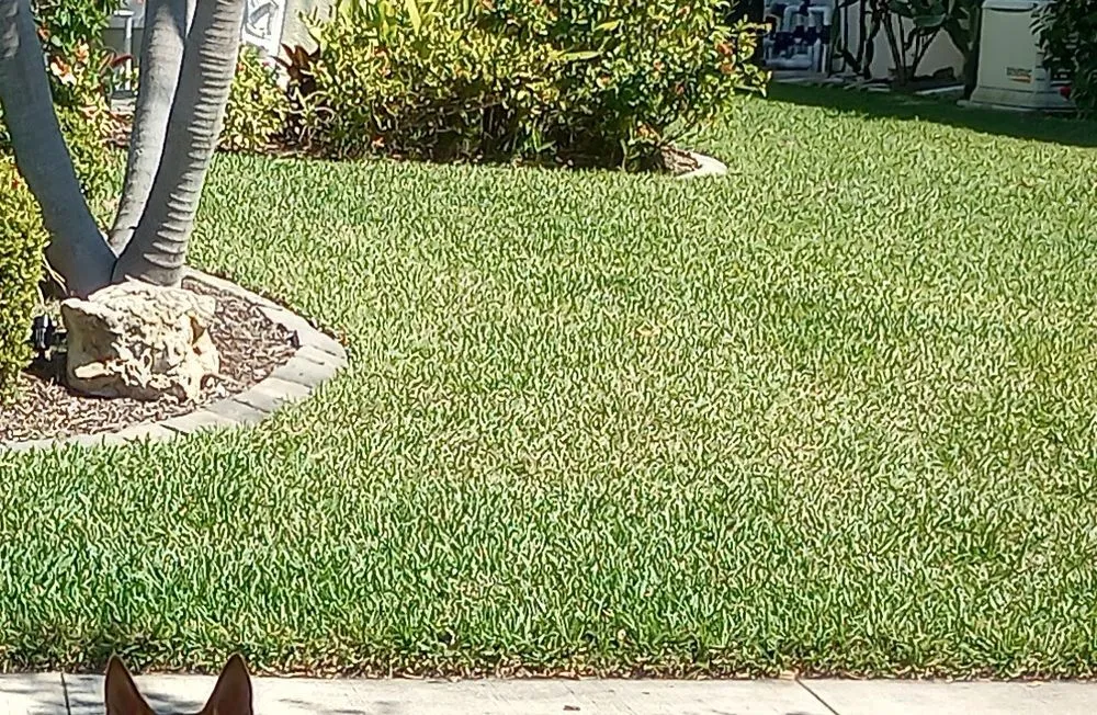 Professional landscape design experts serving Venice, FL - Lawn Care Extraordinaire