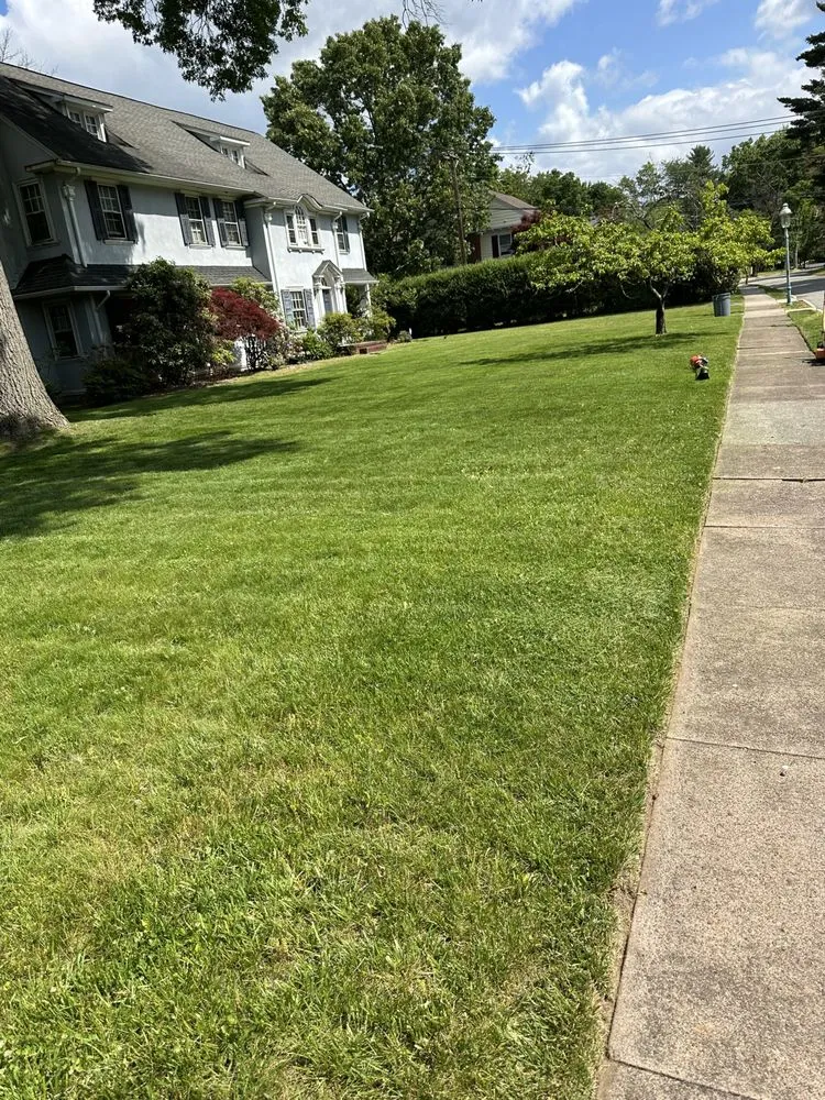Trusted landscape design with custom design across Irvington, NJ - Lawn Care G