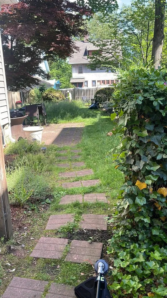 Trusted yard cleanup service in Irvington, NJ - Lawn Care G