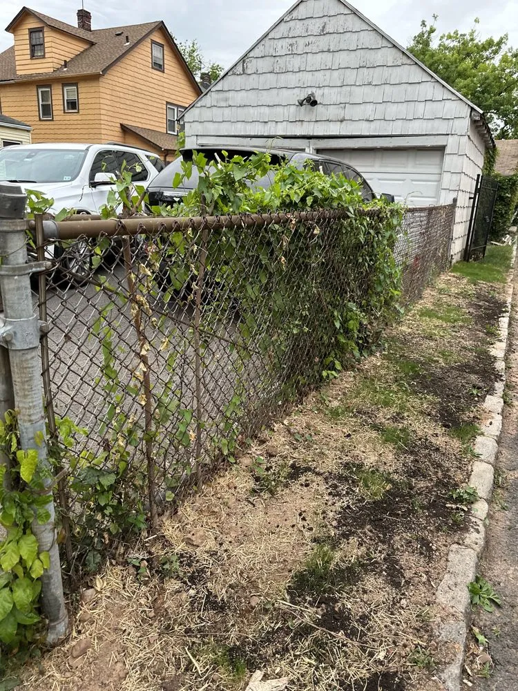 Custom yard maintenance experts serving Irvington, NJ - Lawn Care G