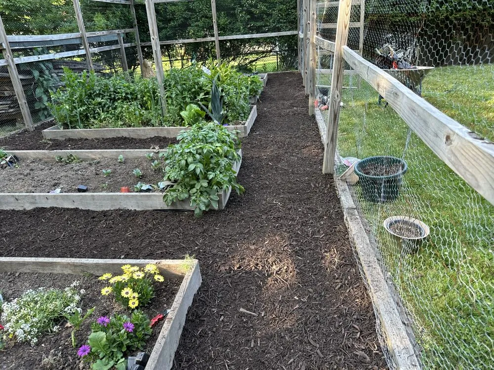 Trusted landscape design in Irvington, NJ by Lawn Care G