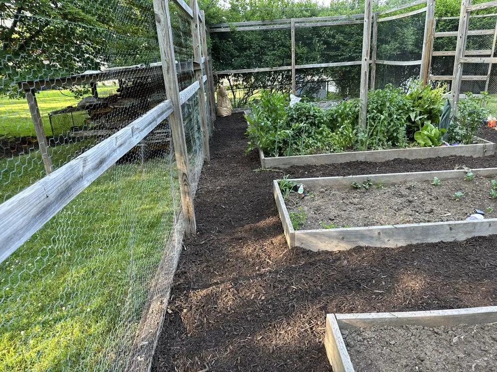 Local yard cleanup service experts serving Irvington, NJ - Lawn Care G