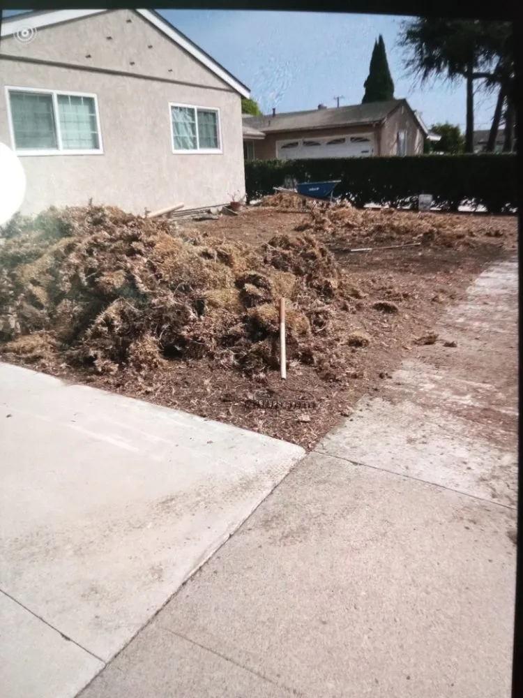 Reliable residential landscaping experts serving Garden Grove, CA - Lawn Care Garden Service