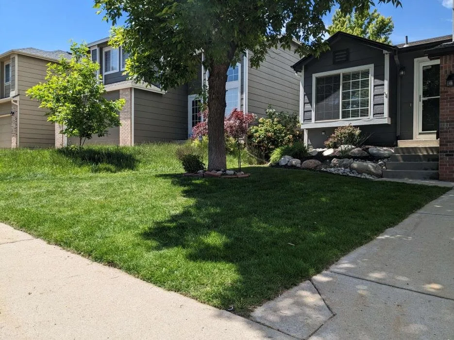 Trusted residential landscaping near you in Aurora, CO by Lawn Care General