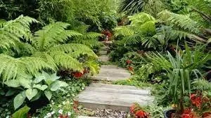 Custom landscaping services experts serving Hilo, HI - Lawn Care Hawaii