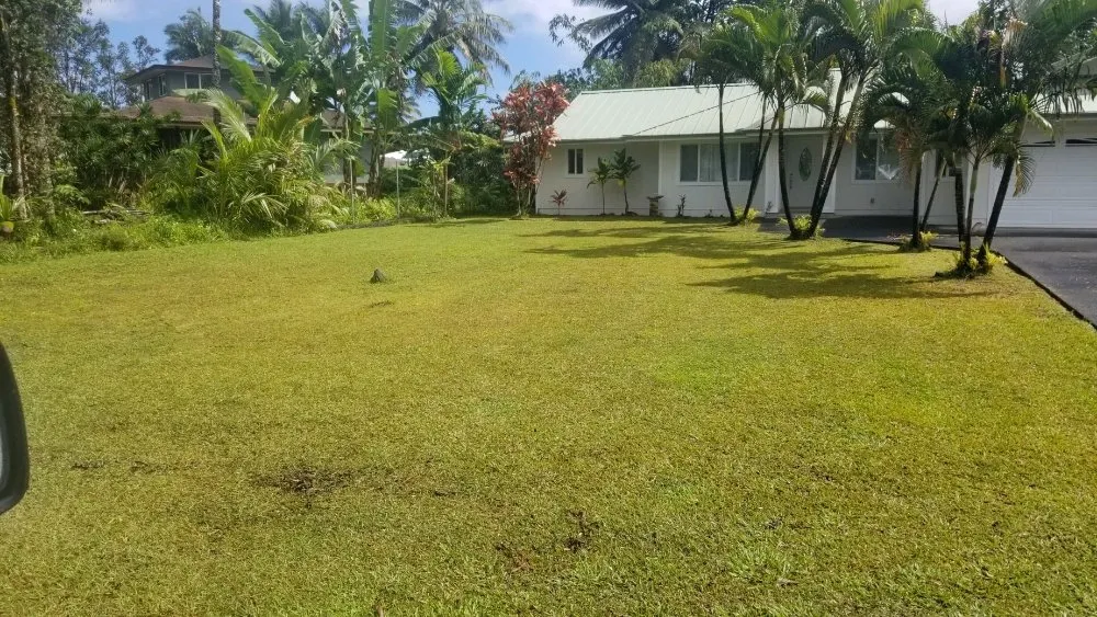 Affordable landscape design in Hilo, HI by Lawn Care Hawaii