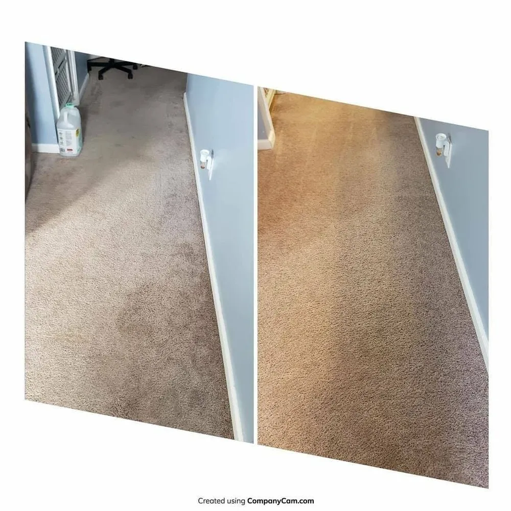 Custom yard cleanup service for year-round maintenance in Beulaville, NC by Lawn Care Hurts