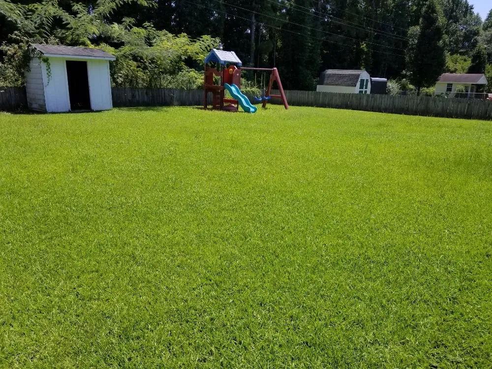 Expert landscape design in Beulaville, NC by Lawn Care Hurts