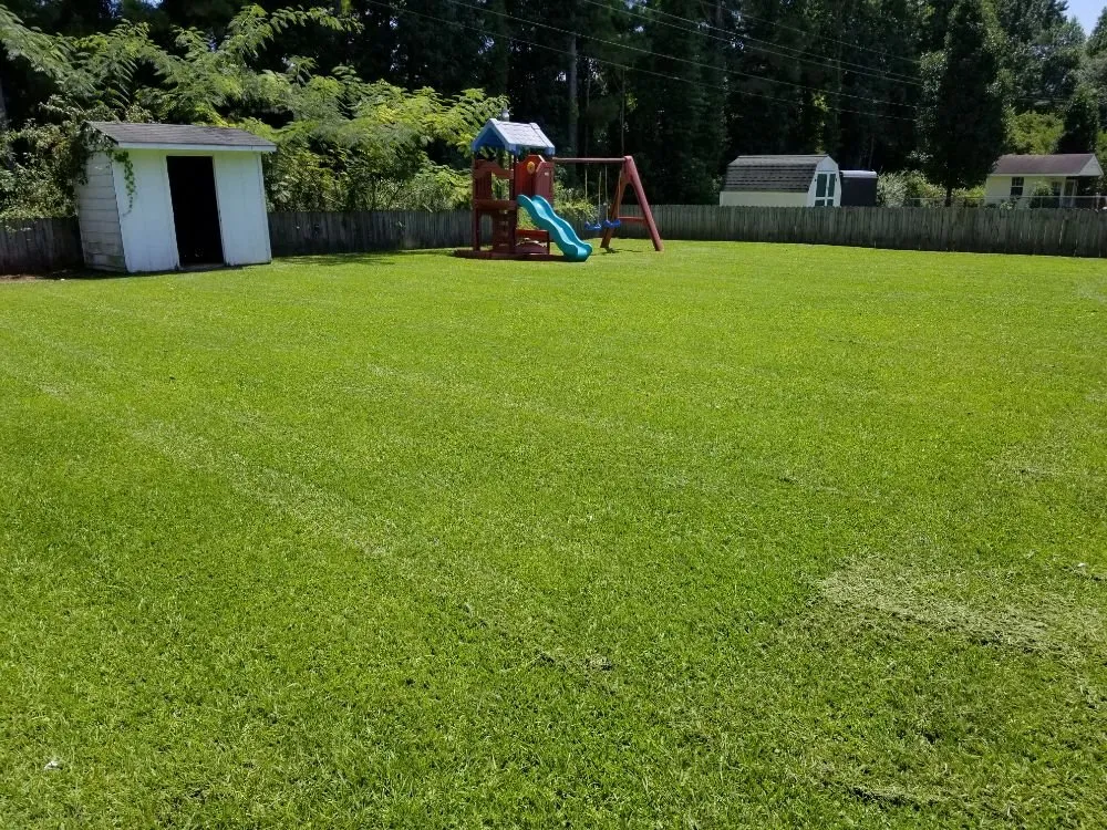 Trusted yard cleanup service experts serving Beulaville, NC - Lawn Care Hurts